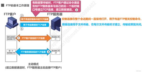 計算機網(wǎng)絡(luò)應(yīng)用層 信息咨詢服務(wù)的核心引擎