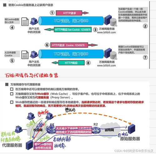 計算機網(wǎng)絡(luò)期末復習筆記（第六彈） 應(yīng)用層與網(wǎng)絡(luò)信息咨詢