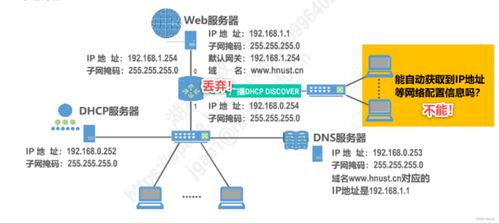 計算機網絡信息咨詢 從生活助手到學術帝國的飛躍