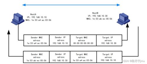 計算機網絡管理 arp 地址解析協議 arp的基礎原理 wireshark arp 報文分析 arp的通信過程
